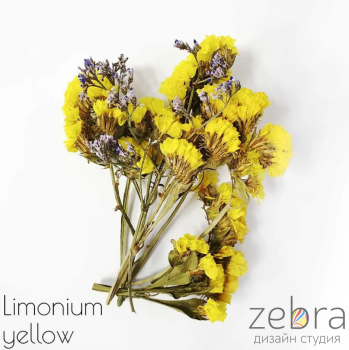 Набор сухоцветов для заливки в смолу Limonium Yellow