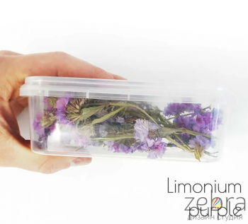 Набор сухоцветов для заливки в смолу Limonium Purple