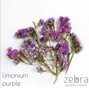 Набор сухоцветов для заливки в смолу Limonium Purple