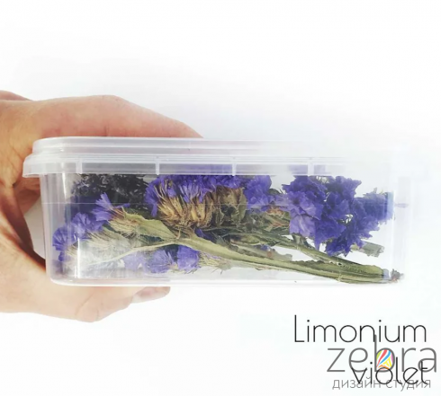 Набор сухоцветов для заливки в смолу Limonium Violet