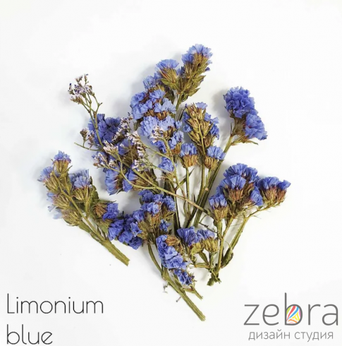 Набор сухоцветов для заливки в смолу Limonium Blue